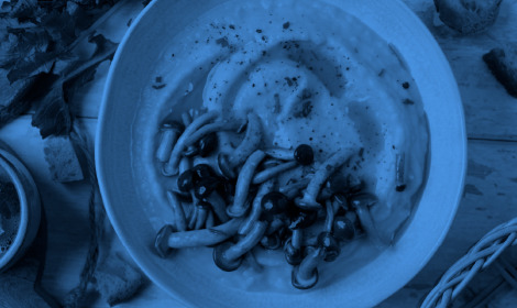 Crema di sedano rapa con funghi pioppini per gli intolleranti al lattosio