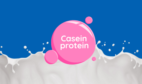 Caseina: cosa è e dove si trova? 